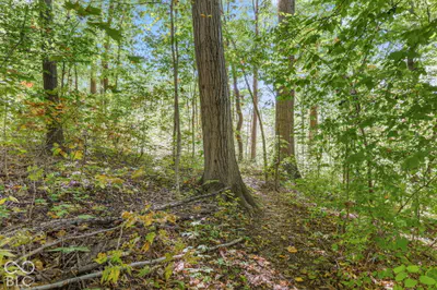 4238 S Carrie Drive, New Palestine - 10