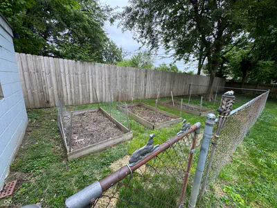 5145 Atherton N Drive, Indianapolis - 29