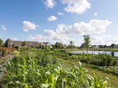 1313 Somerville Drive, Westfield - 43