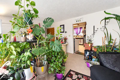 9944 Catalina Drive, Indianapolis - 5