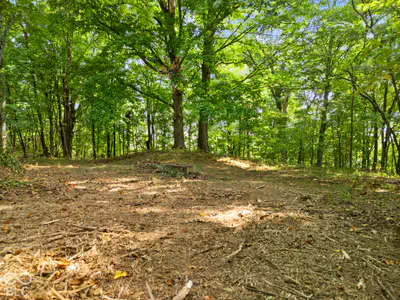 0 McCarthy Knob Road, Lanesville - 14