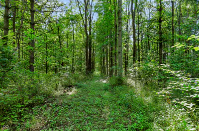 3205 Belle Arbres Lane, Westfield - 9