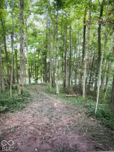 6808 Union Road, Shelbyville - 2