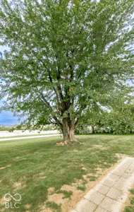 10997 Co Rd 800 N, Seymour - 13