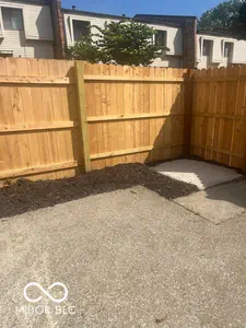 50 Druid Hill Court, Carmel - 8