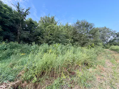 1732 250 West Road, Albion - 23