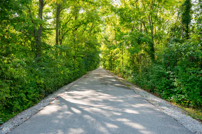 805 Possman Way, Westfield - 15