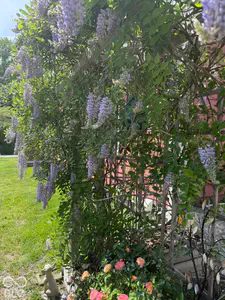 311 Merrill Street, Fortville - 42