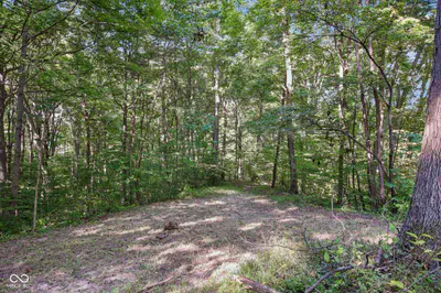 4736 Mahalasville Road, Morgantown - 43