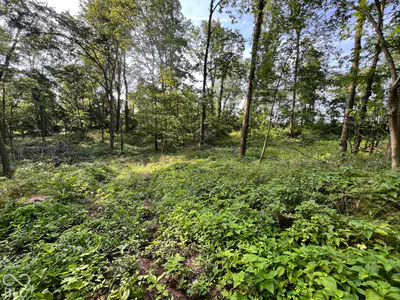 15040 Lindsey, Milton - 27