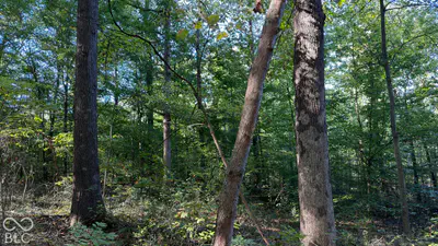0 Michaels Road, Bloomfield - 33