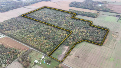 3949 E Thornton Road, Madison - 8