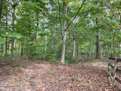 778 W Gasburg Lane, Mooresville - 63