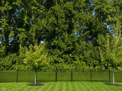 19328 Bald Cypress Court, Noblesville - 33