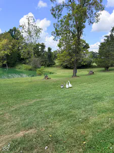 14571 Oatman Hill Road, Rising Sun - 7