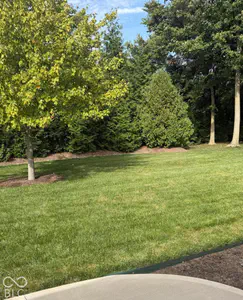 6658 English Oak Drive, Avon - 39