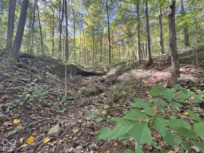3920 N County Road 500 W, West Baden Springs - 16