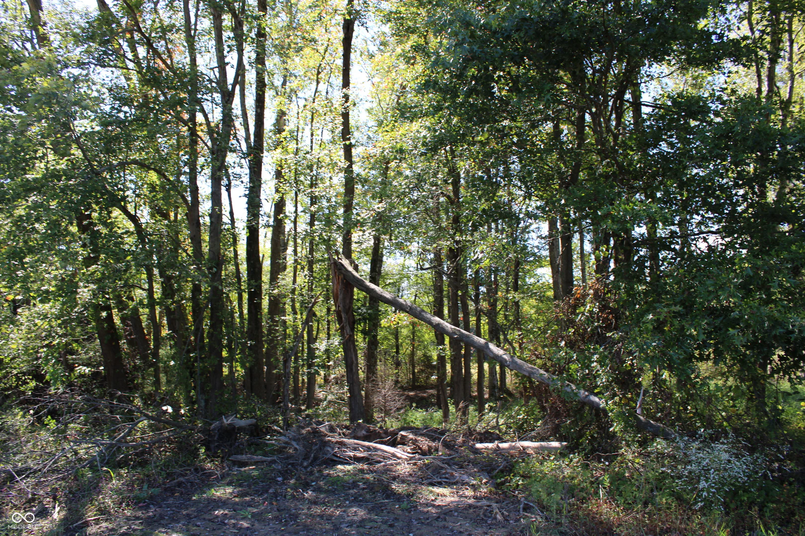 Tract 9 7530 Private Road 775, Commiskey