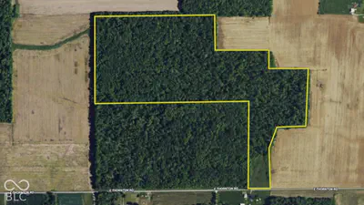 3949 E Thornton Road, Madison - 7