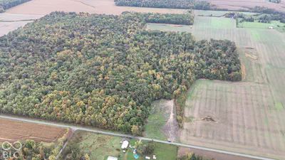 3949 E Thornton Road, Madison - 10