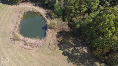 8476 Sycamore Road, Bloomfield - 38