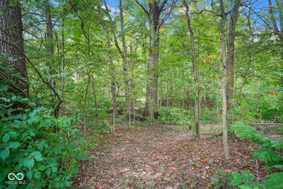 1767 Sugar Creek Trail, Greenfield - 64