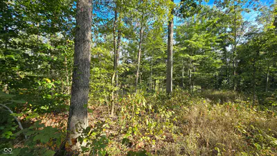 4332 State Road 135, Freetown - 16