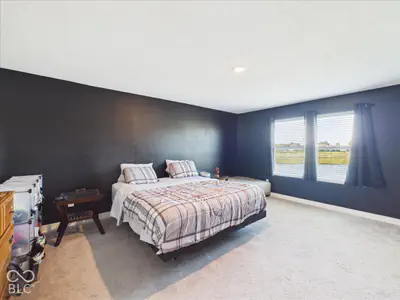 2450 Dixon Creek Drive, Whitestown - 14