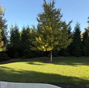 6658 English Oak Drive, Avon - 48