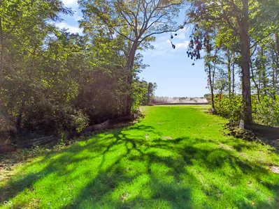 3205 Belle Arbres Lane, Westfield - 21