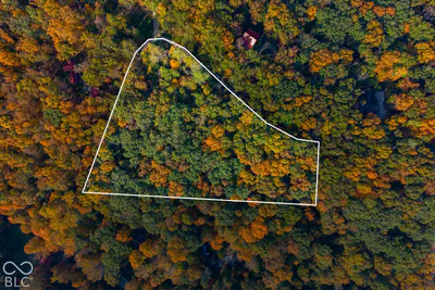 113 Hickory Knob Road, Nashville - 22
