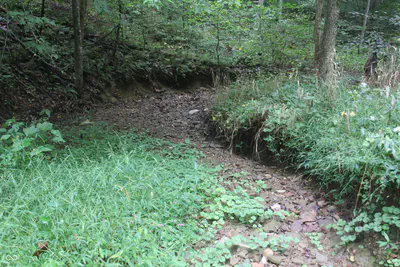 3490 Marlett Road, Nashville - 27