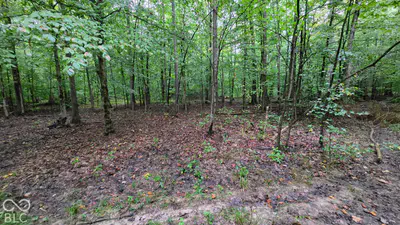 0 Lemon Road, Canaan - 51
