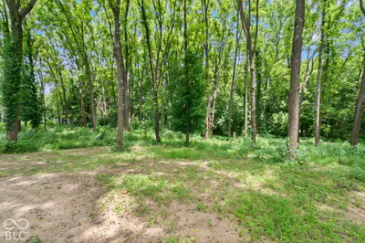 0 Maple Street, Alton - 9