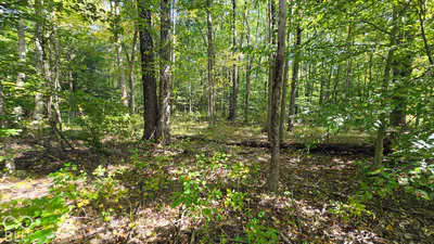 3255 Lemon Road, Madison - 8